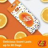 image:imageJELLY BELLY Tangerine  3D Air Freshener  15212Tangerine