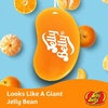 image:imageJELLY BELLY Tangerine  3D Air Freshener  15212Tangerine