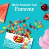 image:imageJelly Belly Endless Summer Jelly Bean Collection  1 Pound 16 Ounces Resealable Bag  Genuine Official Straight from the Source1 oz Bag  30Count Case