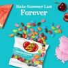 image:imageJelly Belly Endless Summer Jelly Bean Collection  1 Pound 16 Ounces Resealable Bag  Genuine Official Straight from the Source35 oz Bag  12Count Case