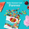image:imageJelly Belly Endless Summer Jelly Bean Collection  1 Pound 16 Ounces Resealable Bag  Genuine Official Straight from the Source35 oz Bag