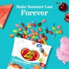 image:imageJelly Belly Endless Summer Jelly Bean Collection  1 Pound 16 Ounces Resealable Bag  Genuine Official Straight from the Source6 oz Bag  12Count Case