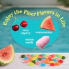 image:imageJelly Belly Endless Summer Jelly Bean Collection  1 Pound 16 Ounces Resealable Bag  Genuine Official Straight from the Source6 oz Bag