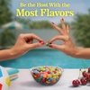image:imageJelly Belly Endless Summer Jelly Bean Collection  1 Pound 16 Ounces Resealable Bag  Genuine Official Straight from the Source6 oz Bag