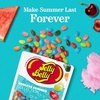 image:imageJelly Belly Endless Summer Jelly Bean Collection  1 Pound 16 Ounces Resealable Bag  Genuine Official Straight from the Source8 oz Bag  10Count Case