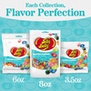image:imageJelly Belly Endless Summer Jelly Bean Collection  1 Pound 16 Ounces Resealable Bag  Genuine Official Straight from the Source8 oz Bag