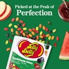 image:imageJelly Belly Farmstand Fruit Jelly Bean Collection  8 oz Pouch Bag  Genuine Official Straight from the Source