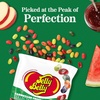 image:imageJelly Belly Farmstand Fruit Jelly Bean Mix  1 Pound 16 Ounces Resealable Bag  Genuine Official Straight from the Source