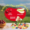 image:imageJelly Belly Signature 20 Collection Jelly Beans 1 Pouch Premium Jelly Beans for the Flavor Aficionado Assortment May Vary 8 oz