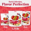 image:imageJelly Belly Signature 20 Collection Jelly Beans 1 Stand Up Bag Premium Jelly Beans for the Flavor Aficionado Assortment May Vary 131 lb