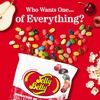 image:imageJelly Belly Signature 40 Jelly Bean Collection  1 Pound 16 Ounces Resealable Bag  Genuine Official Straight from the Source