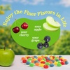 image:imageJelly Belly Sour Jelly Bean Collection  6 oz Peg Bag 12Count Case  Genuine Official Straight from the Source