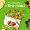 image:imageJelly Belly Sour Jelly Bean Collection  6 oz Peg Bag 12Count Case  Genuine Official Straight from the Source