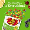 image:imageJelly Belly Sour Jelly Bean Collection  8 oz Pouch Bag  Genuine Official Straight from the Source