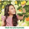 image:imageJelly Belly Sunkist Tangerine Jelly Beans  1 Pound 16 Ounces Resealable Bag  Genuine Official Straight from the Source