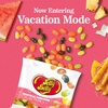 image:imageJelly Belly Tropical Paradise Jelly Bean Collection  6 oz Peg Bag  Genuine Official Straight from the Source