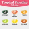 image:imageJelly Belly Tropical Paradise Jelly Bean Collection  6 oz Peg Bag  Genuine Official Straight from the Source