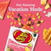 image:imageJelly Belly Tropical Paradise Jelly Bean Collection  8 oz Pouch Bag  Genuine Official Straight from the Source