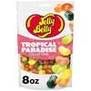 image:imageJelly Belly Tropical Paradise Jelly Bean Collection  8 oz Pouch Bag  Genuine Official Straight from the Source